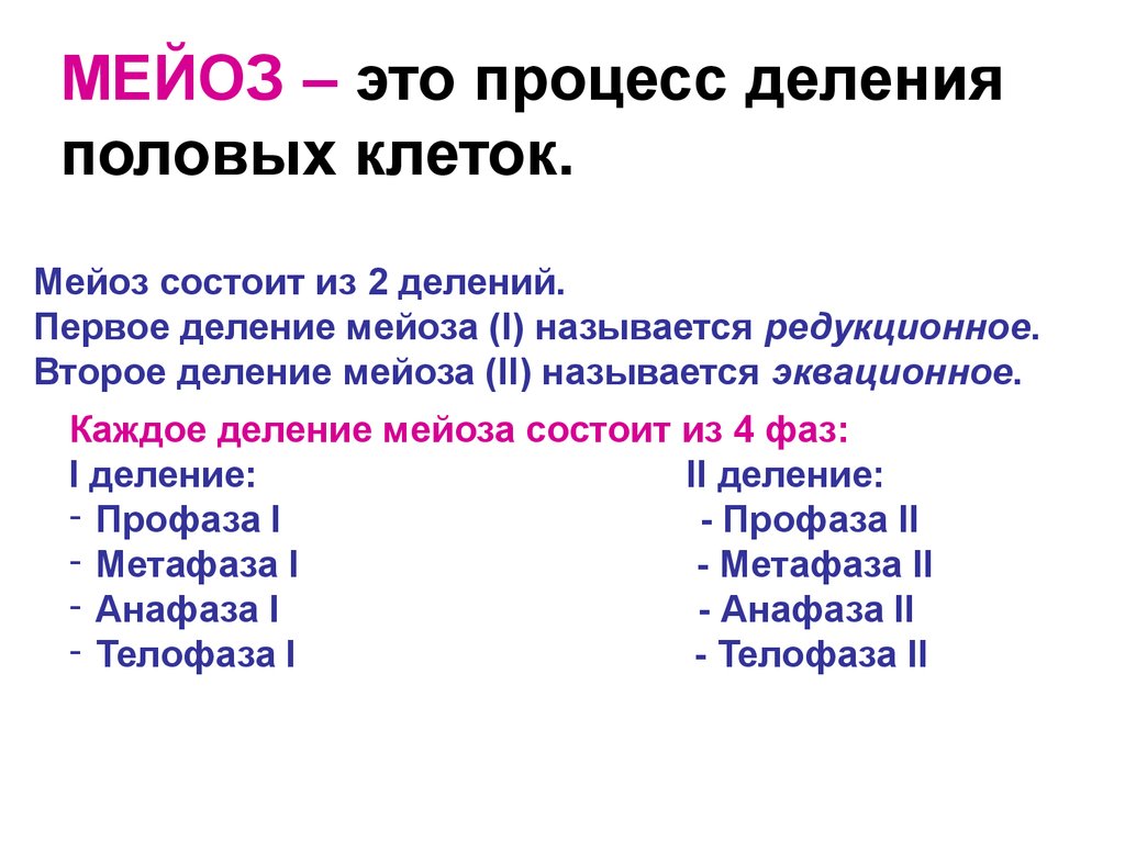 Редукционное деление. Процесс мейоза. Мейоз это в биологии. Мейоз 2.