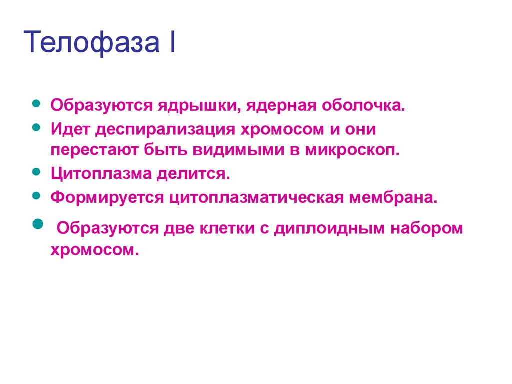 Деспирализация. Диспериоизация хромосом. Деспирализация хромосом. Деспирализация хромомосом. Деспирализация хромосом как выглядит.