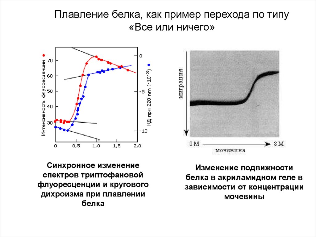 Метод кругового дихроизма презентация