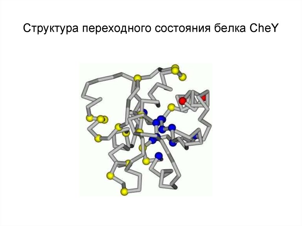 Состояние белков. Структура переходного состояния. Состояние белка. Переходные состояния белка.