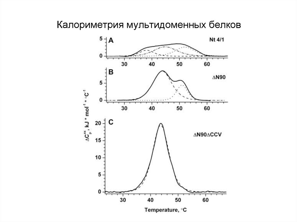 Калориметрия мультидоменных белков