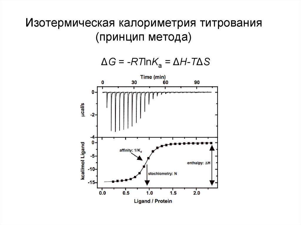 Изотермическая калориметрия титрования (принцип метода)