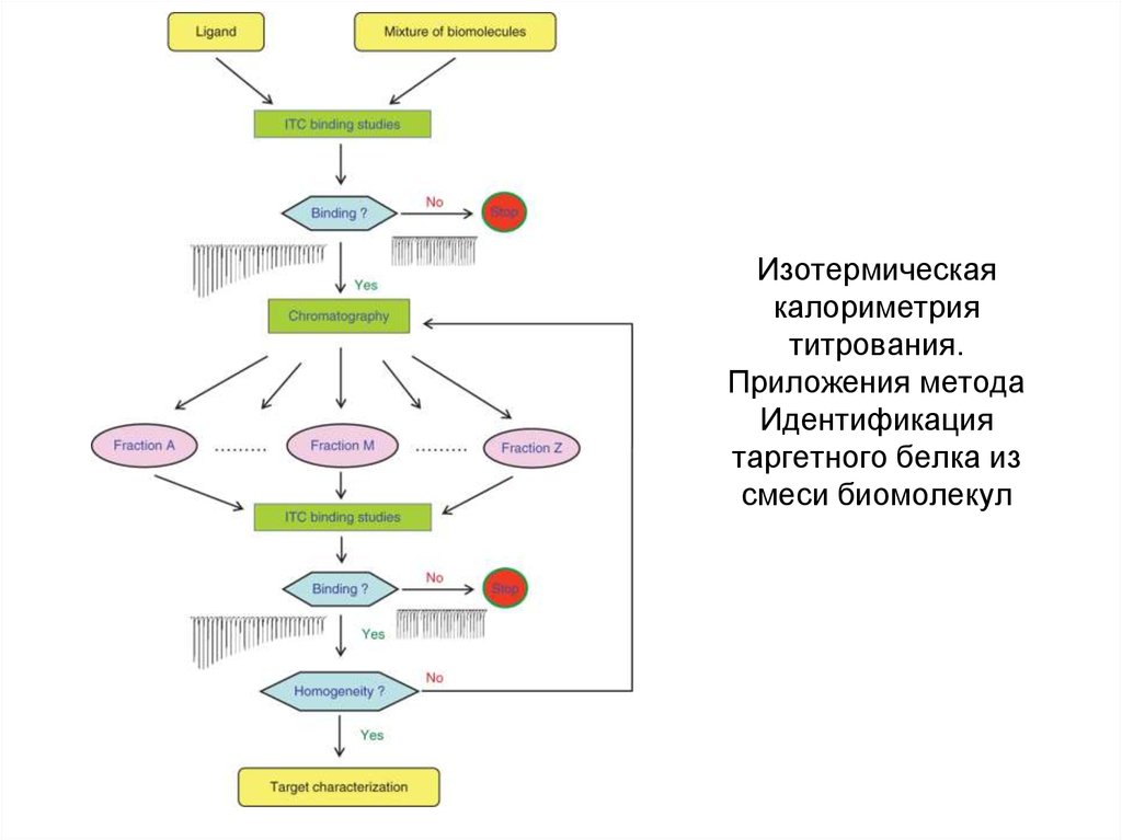 Изотермическая калориметрия титрования. Приложения метода Идентификация таргетного белка из смеси биомолекул