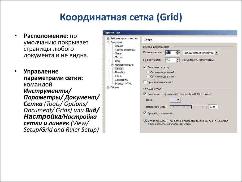 Coreldraw системные требования. Виды координатной сетки. Координатная сетка в программу.