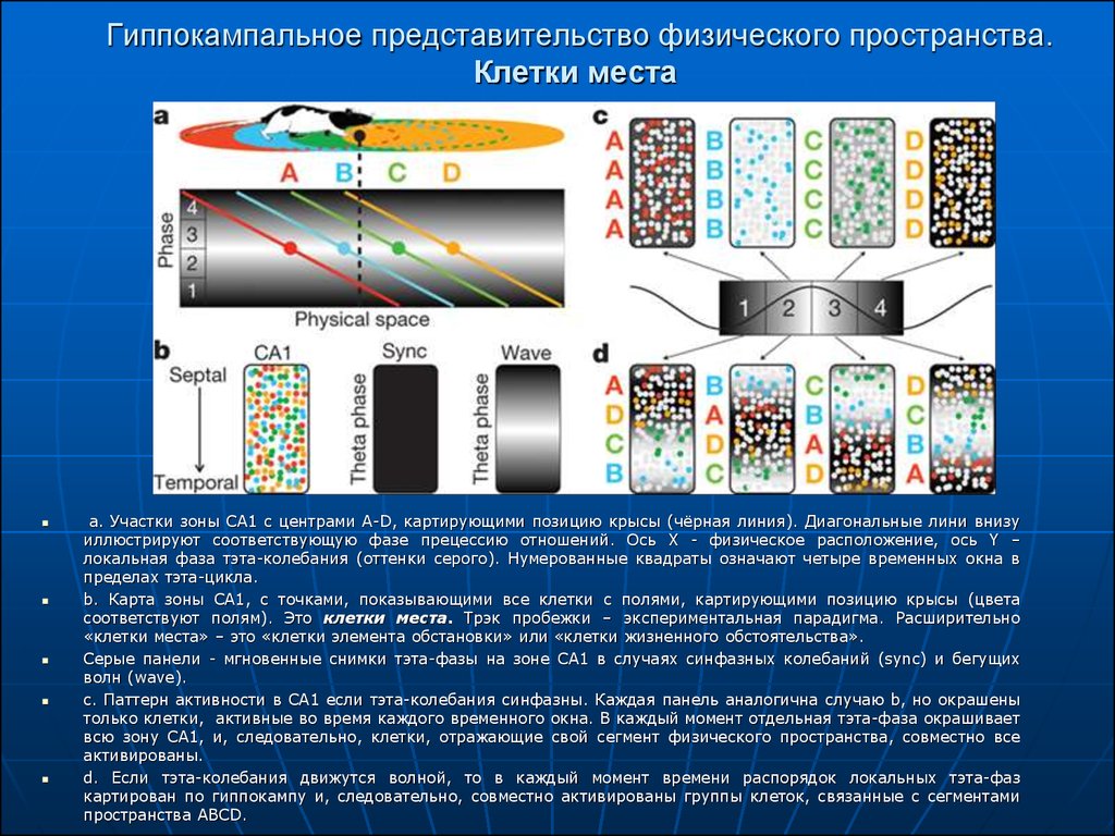 Физическое пространство