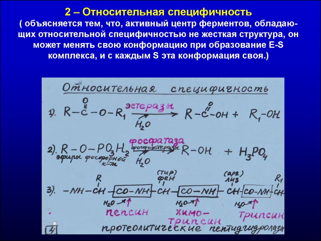 Абсолютная специфичность ферментов