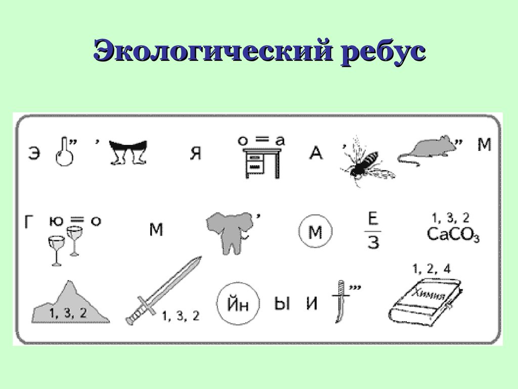 Ребусы по окружающему миру 3 класс с ответами картинки