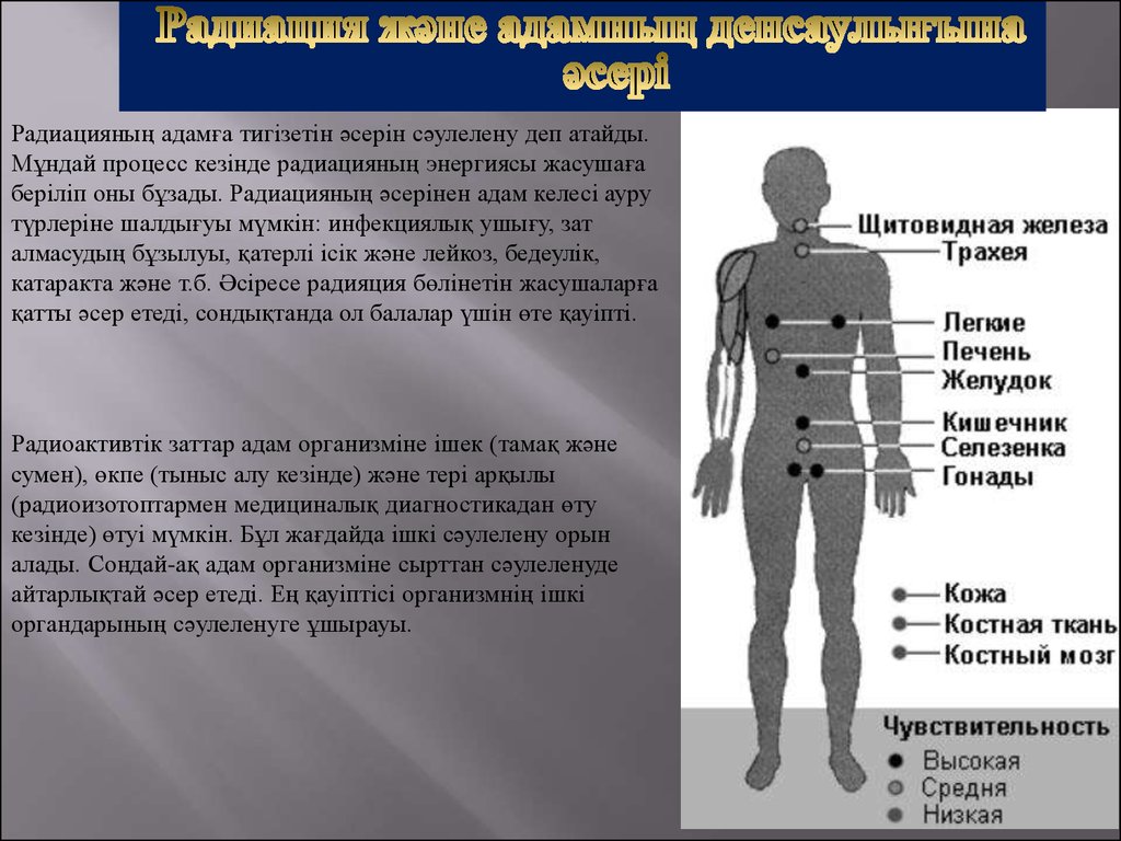Влияние тела. Воздействие радиации на организм человека. Воздействие радиационного излучения на организм человека. Влияние радиоактивности на человека.