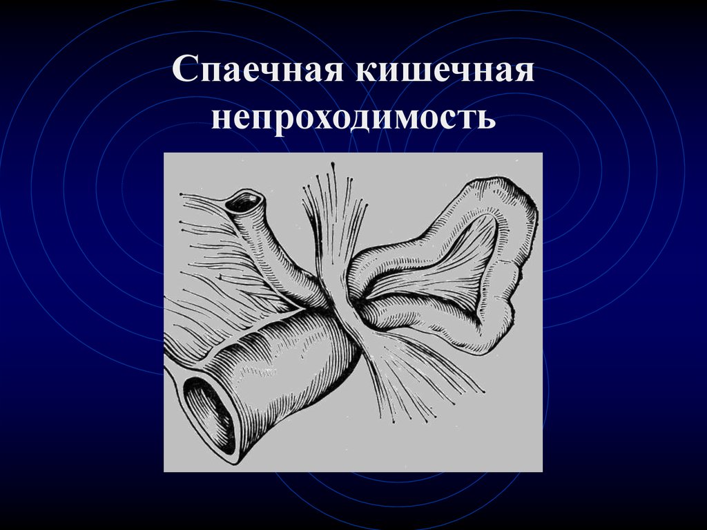 Handbook of Spectroscopy (2 Vol. Set)