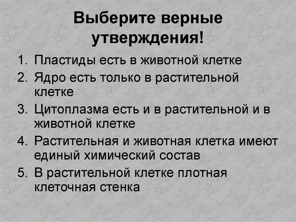 Все верные утверждения о системе быстрых платежей. Выберите верное утверждение. Выбери верное утверждение. Укажите верные утверждения выберите три. Выбрать верные утверждения.