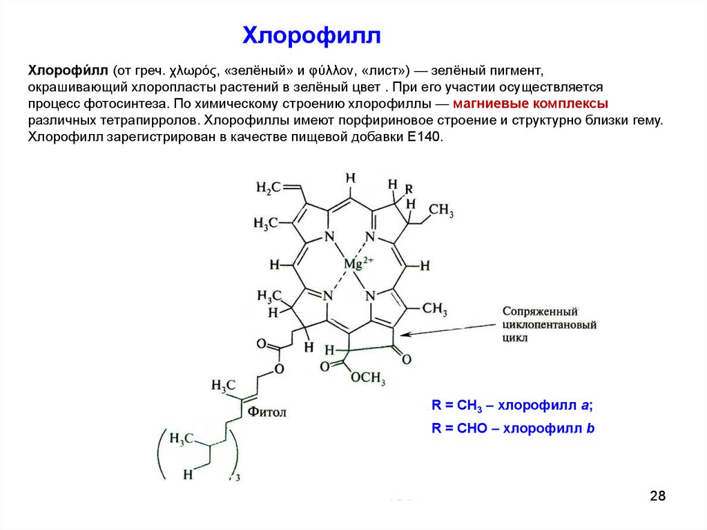 Образование хлорофилла. Порфирин хлорофилл. Хлорофилл строение и биологическая роль. Строение хлорофилла. Строение пигментов хлорофилла.