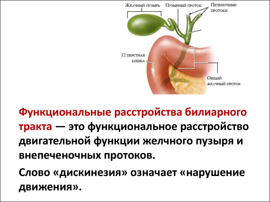 Заболевания печени и желчного. Устье желчного пузыря. Сужение желчных протоков симптомы. Паразиты желчных протоков. Дискинезия желчевыводящих путей и желчного пузыря профилактика.