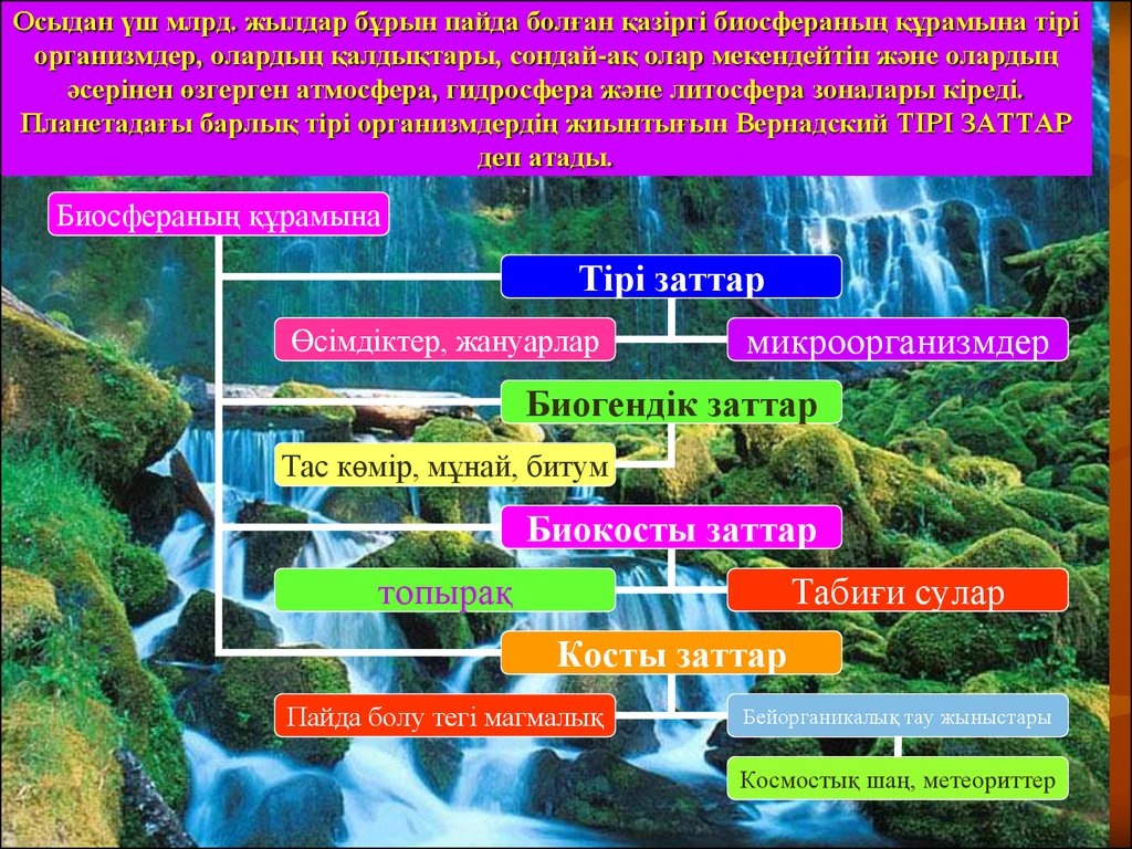 Пайда болу себептері. Биосфера туралы презентация. Слайды про биосферу. Биосфера деген не. Значение литосферы для живых организмов.