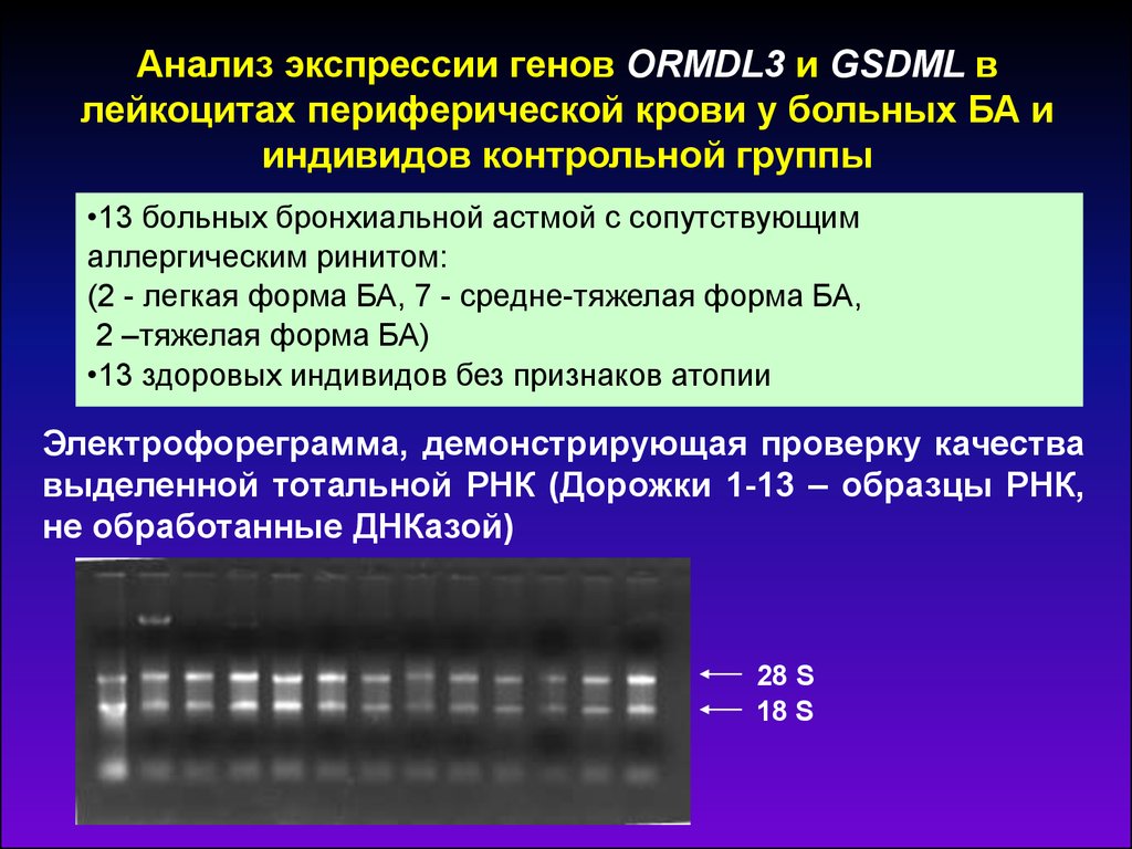 Исследование генов