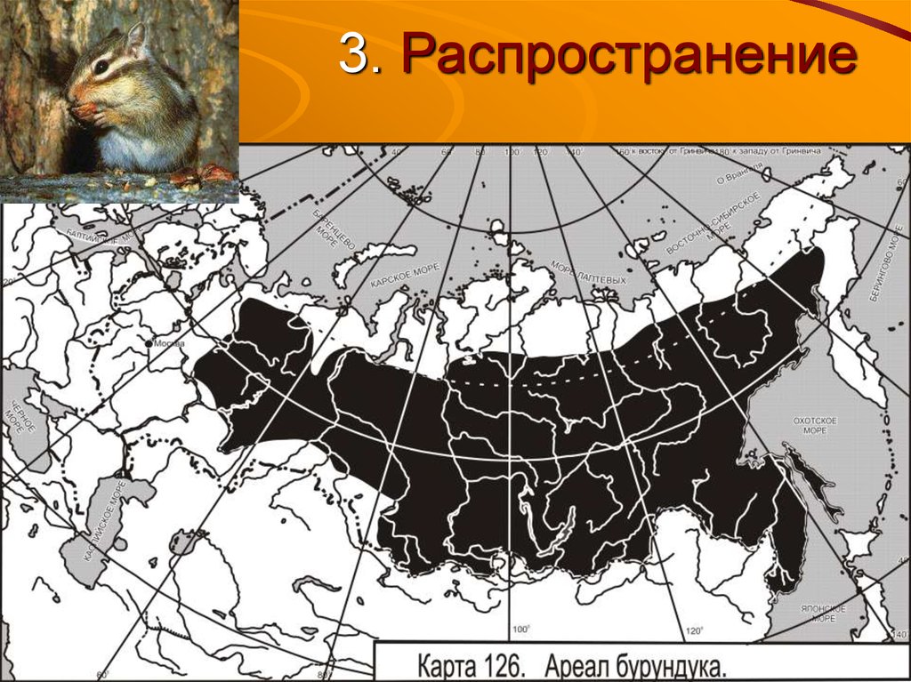 Трюфель карта распространения