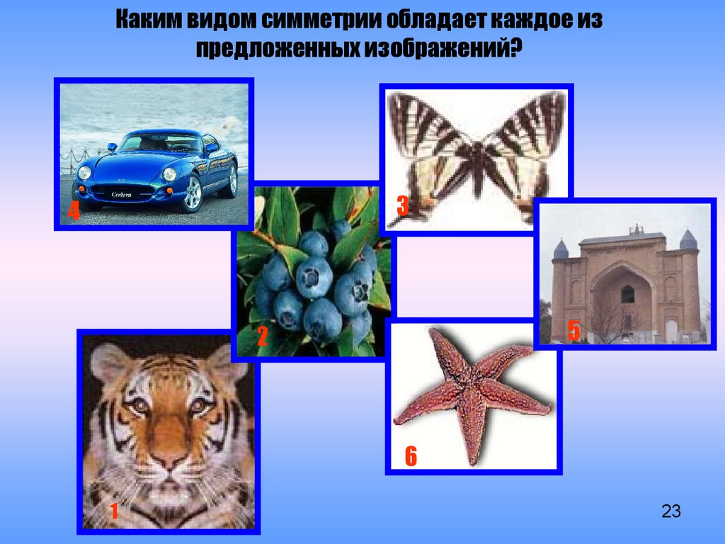 Из предложенных изображений. Какими видами симметрии обладают рисунки. Каким видом симметрии обладает каждое из предложенных изображений?. Какими видами симметрии обладают рисунки домик. Какие предметы обладают симметрией.