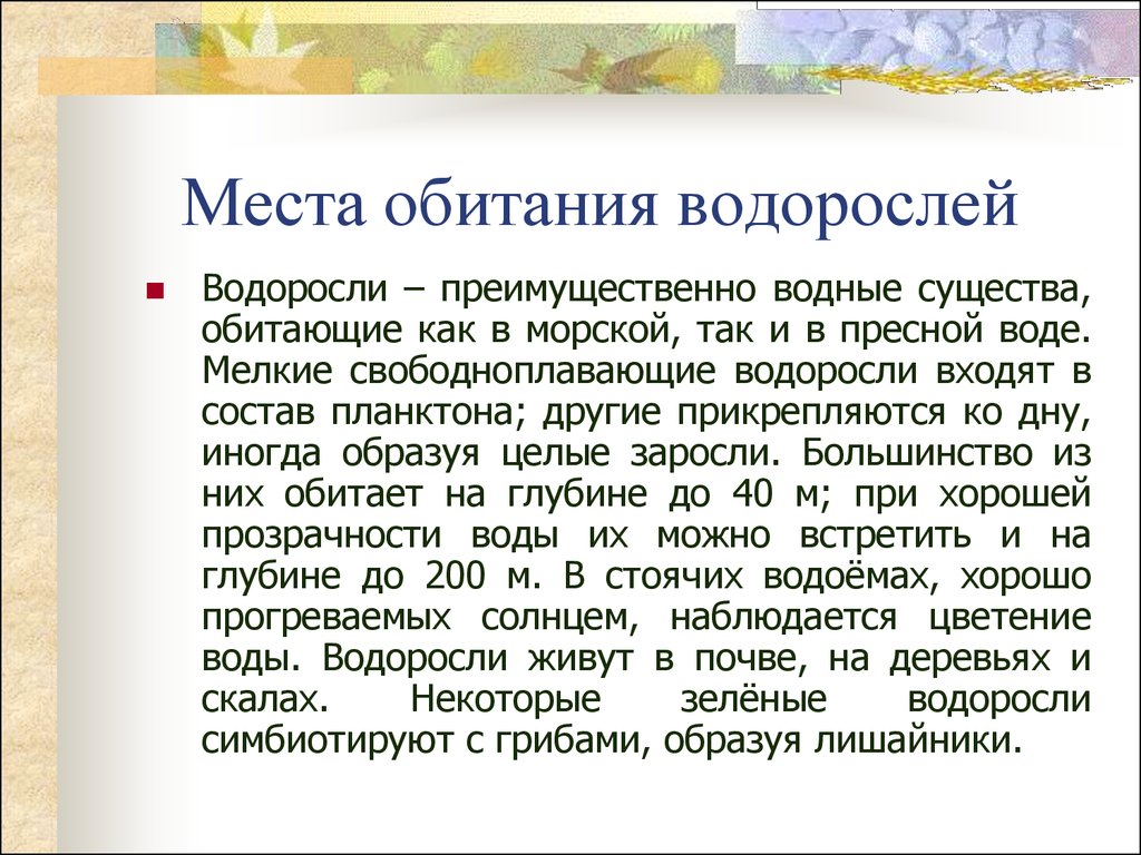 Применение водорослей. Места обитания водорослей. Место обитания красных водорослей. Ламинария место обитания. Места обитания водорослей кратко.