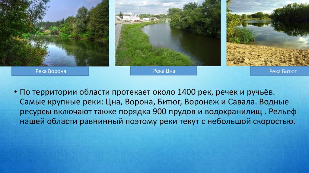 Крупные реки протекающие. Бассейн реки Цна. Доклад река Цна. Где протекает река ворона. Сообщение про реку Цну.