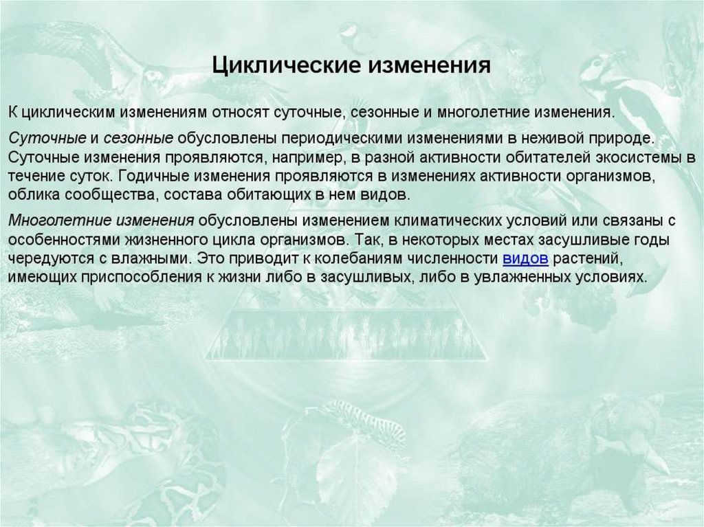 Устойчивость и динамика экосистем презентация