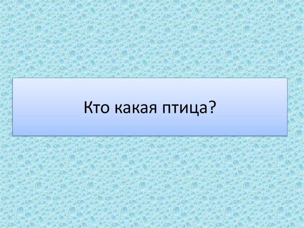 Кто какая птица?
