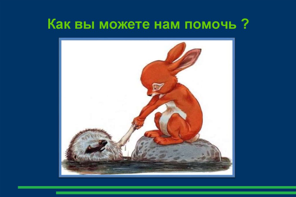 Как вы можете нам помочь ?