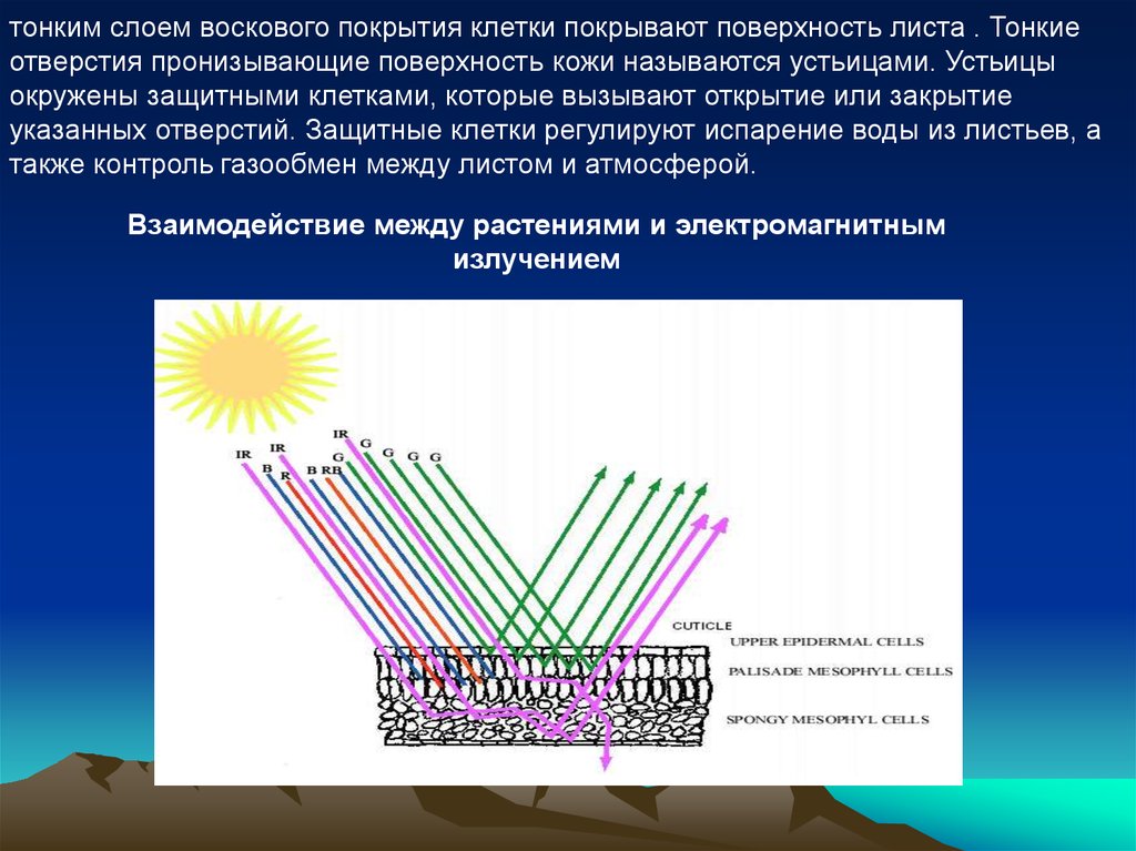 Испарение регулируется