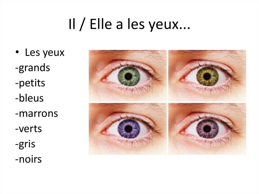 Elle les yeux. Yeux транскрипция. Lire des yeux выражение. Les yeux Noirs текст. Les yeux грамматика.