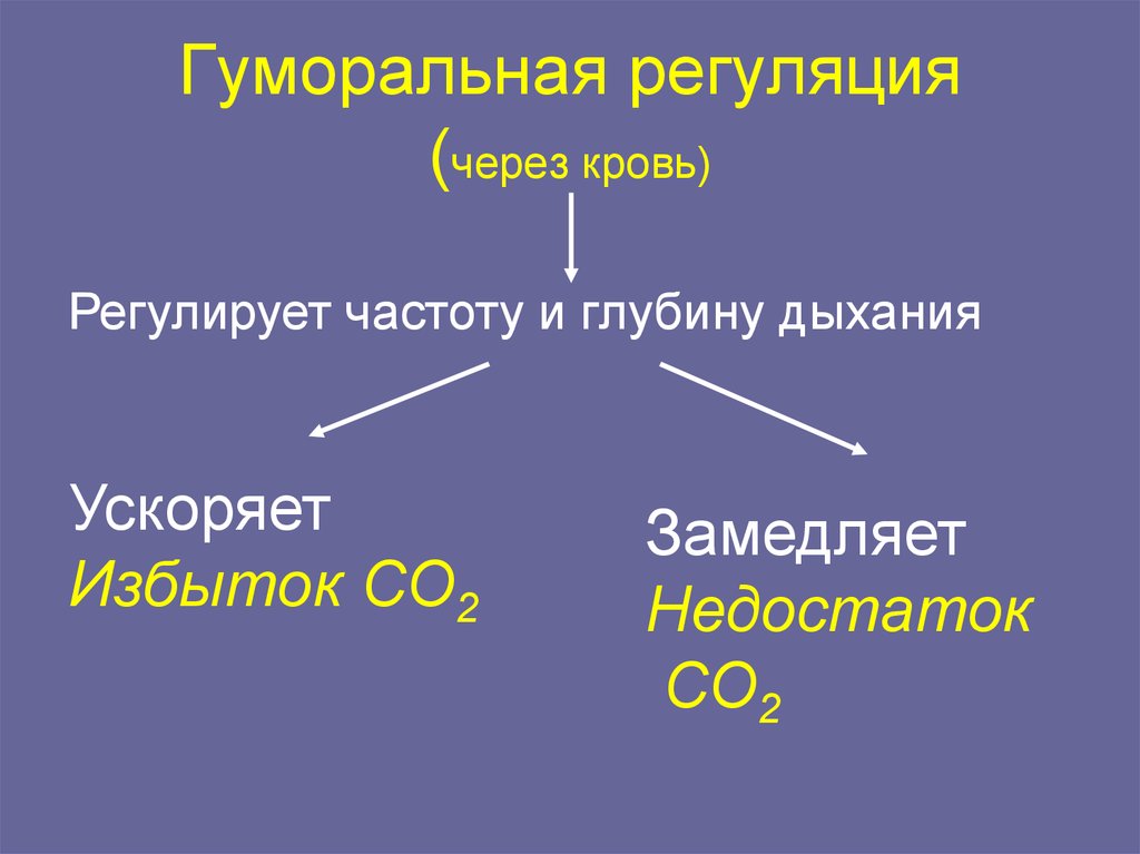 Гуморальные реакции организма. Гумлралтная пегуояция. Гумоллярная регуляция. Гумаральный регуляция. Гумлральная регклыуиы.