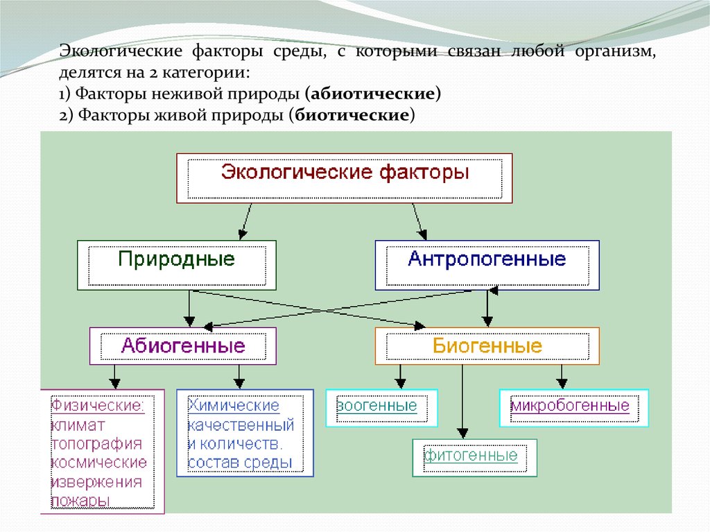 Карта сатис фактори