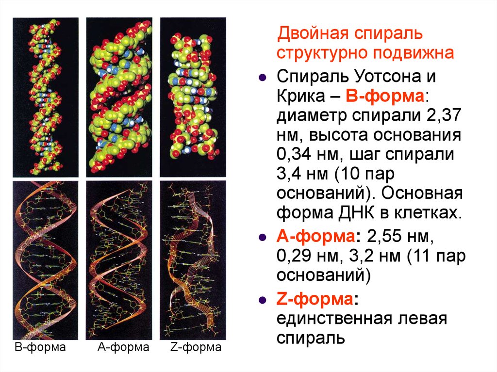 book the mechanism of solid