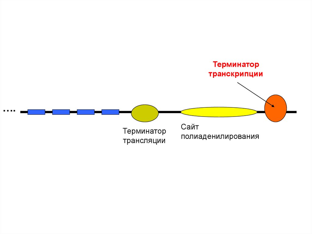 хроніки від фортінбраса 2009