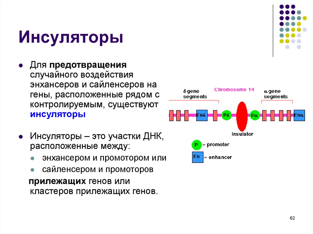 Изучение механизма наследственности