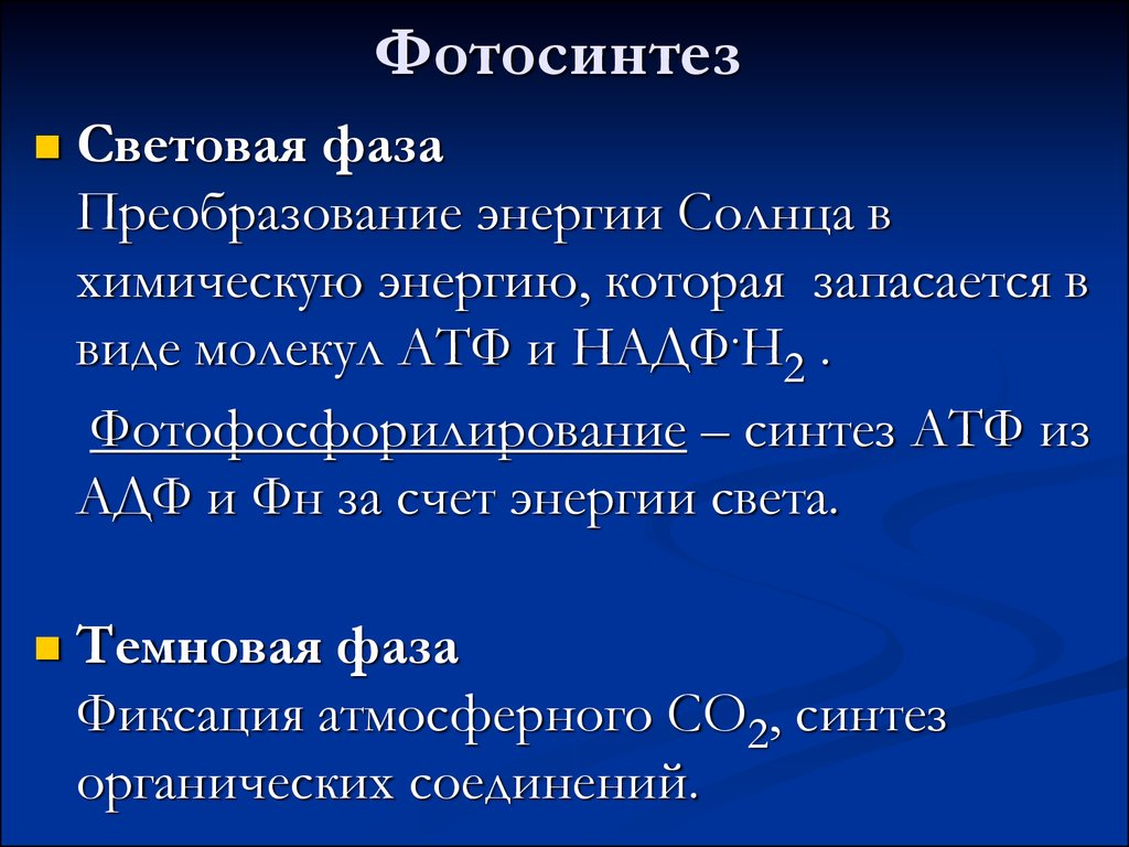 Преобразование энергии в световой фазе