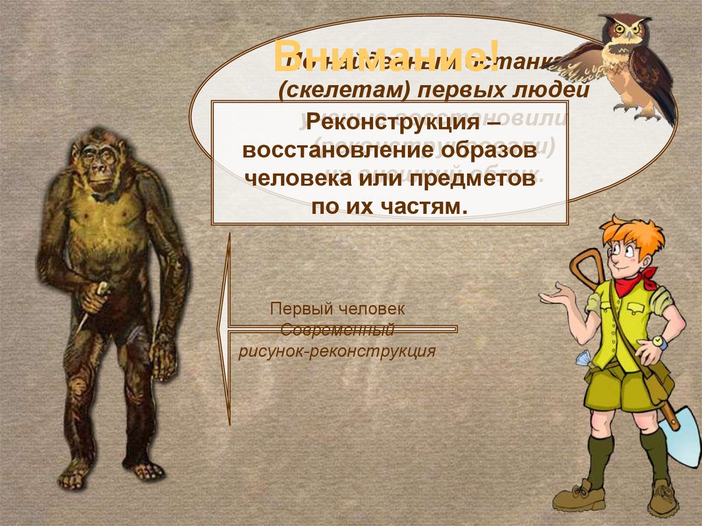 Образ первого человека. Восстановленные образы древних людей. Скелет первого человека. Современные изображения люди для презентаций\. Человеки или люди