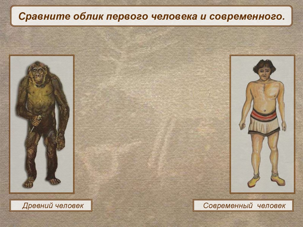 Название современного человека. Древний человек и современный человек. Первые современные люди. Предки современного человека. Облик древнего человека.