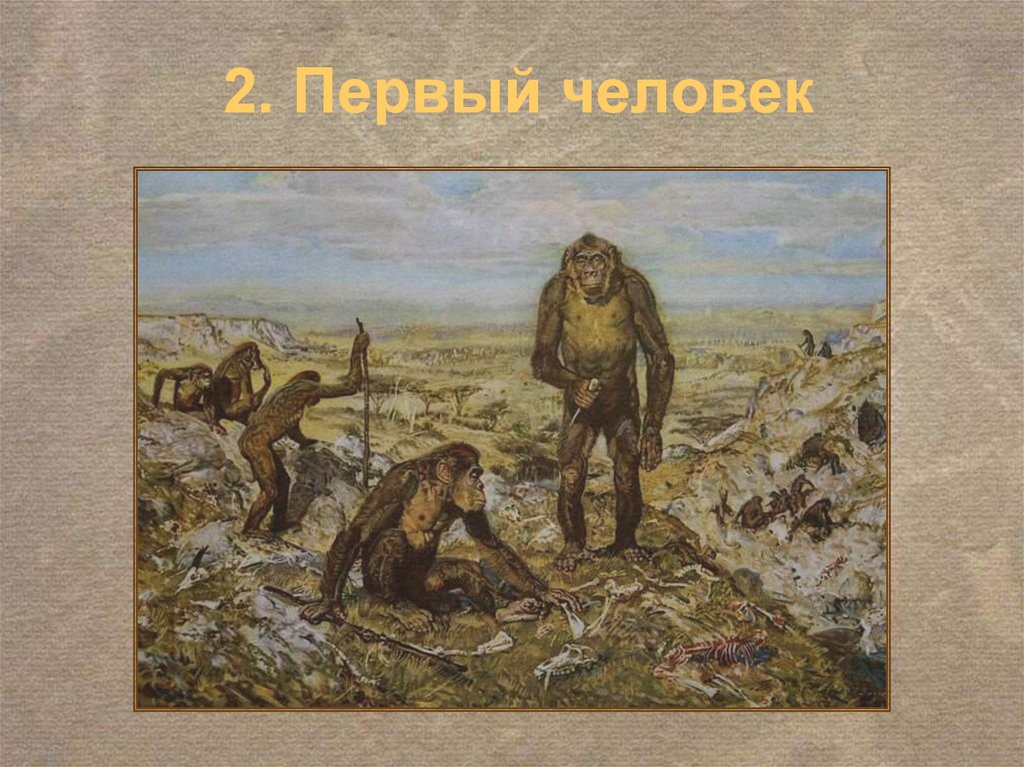 Обладать древний. Протоантропы (австралопитеки),. Предшественники человека протоантропы. Рассказ о древнем человеке. Протоантропы архантропы.