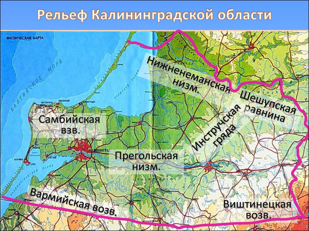 Калининградская область слоган