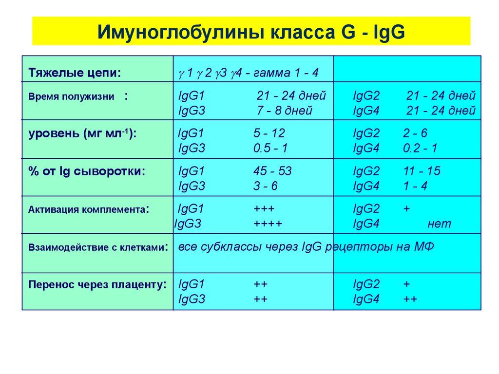 Vr igg. Субклассы IGG. IGG — igg1, igg2, igg3, igg4. Иммуноглобулин g1 g2 g3 g4. Igg1 igg2 igg3 igg4 норма у детей.