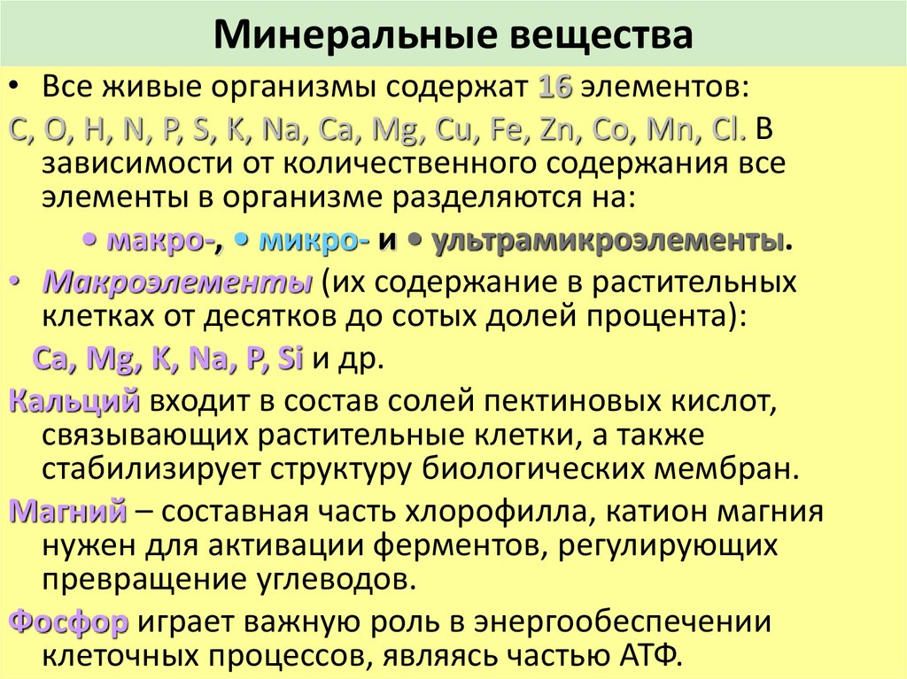 Какое свойство придают минеральные вещества