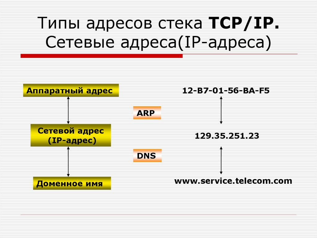 Цифровые ip адреса. Типы IP адресов. Типы адресов TCP/IP. Типы адресов и схемы адресации в стеке TCP/IP. Перечислите основные типы адресов стека TCP/IP..