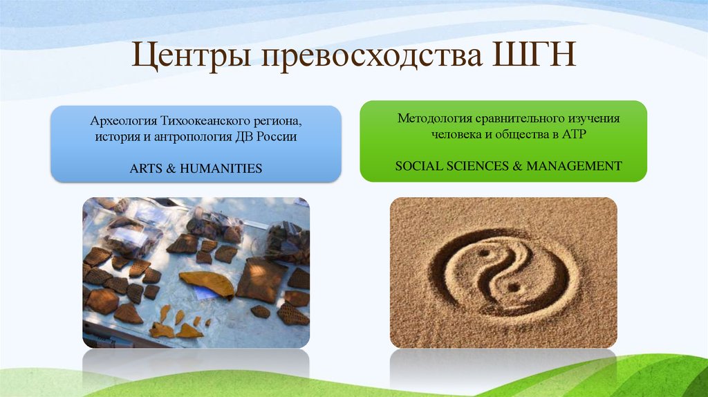 Центры превосходства ШГН