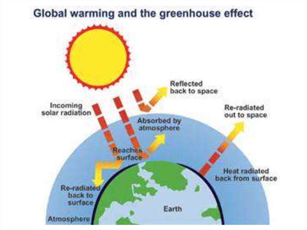 Global warming презентация на английском