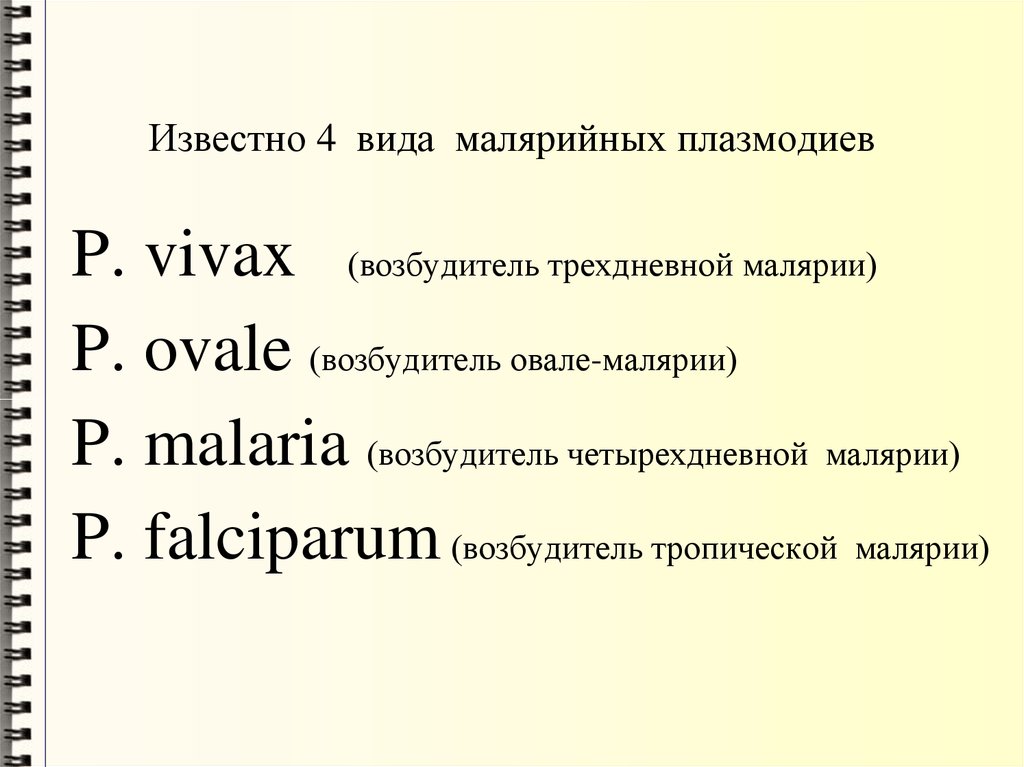Известно 4 вида малярийных плазмодиев