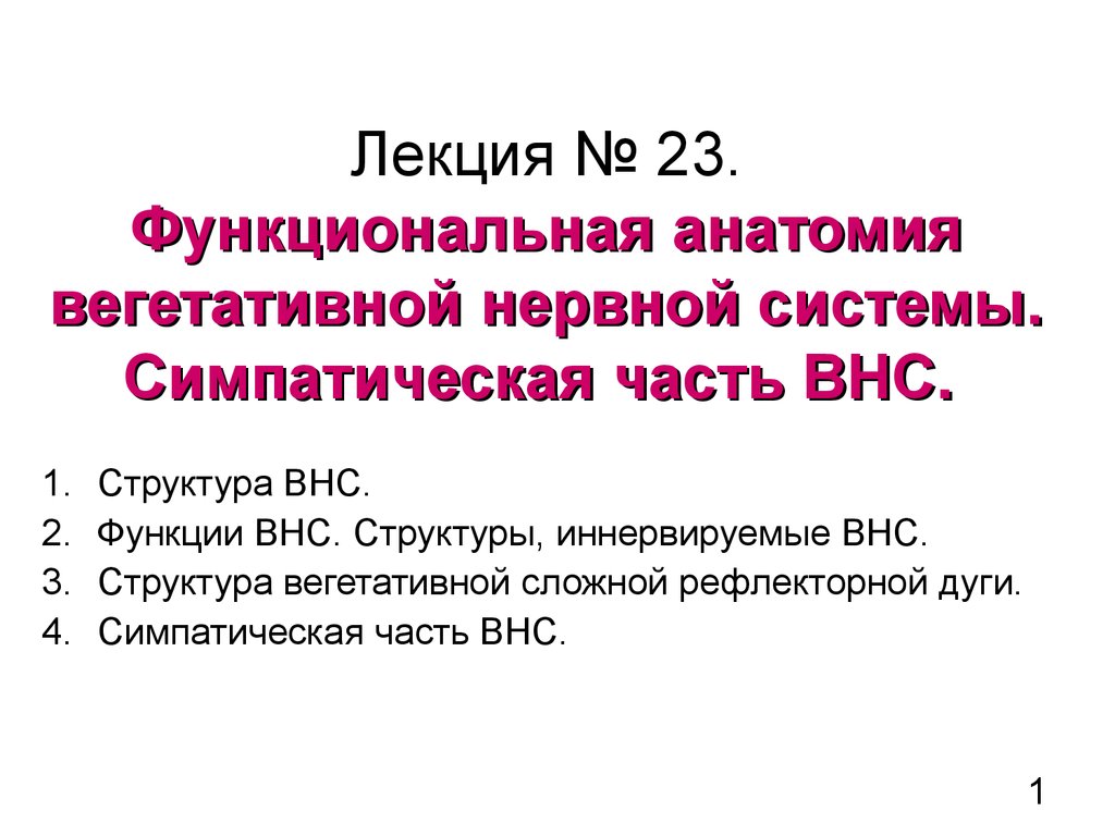 Функциональная анатомия вегетативной нервной системы презентация