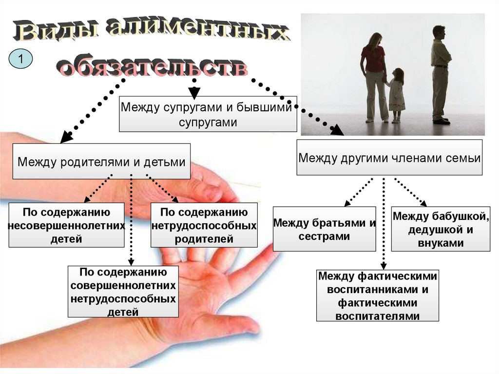 Алиментные правоотношения схема