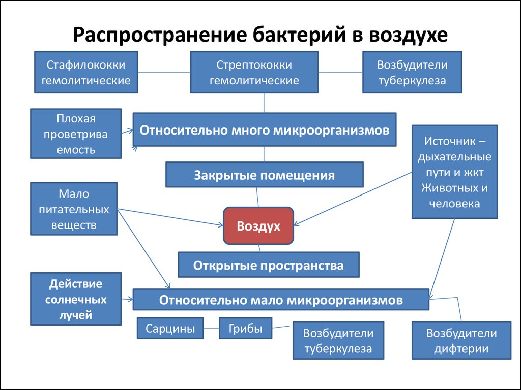 Экология микроорганизмов микробиология. Распространение бактерий в воздухе. Распространение микроорганизмов в окружающей среде схема. Распространение микроорганизмов в природе. Распространение микробов в окружающей среде схема.