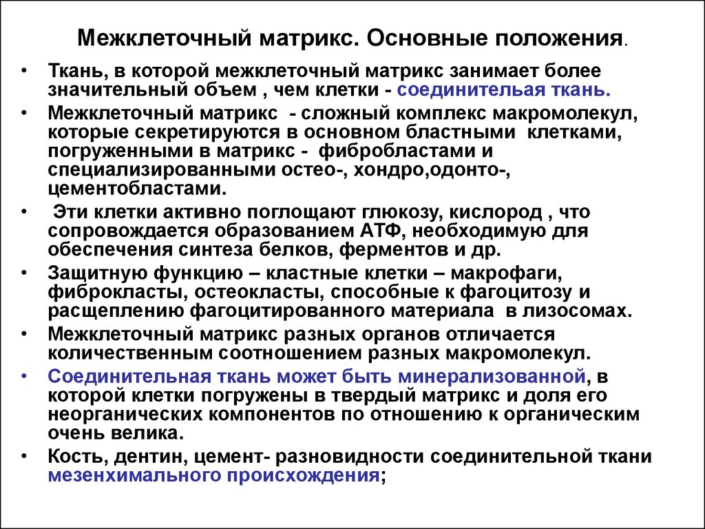 Более значительный. Межклеточный Матрикс. Функции межклеточного матрикса. Межклеточный Матрикс биохимия. Функции внеклеточного матрикса.