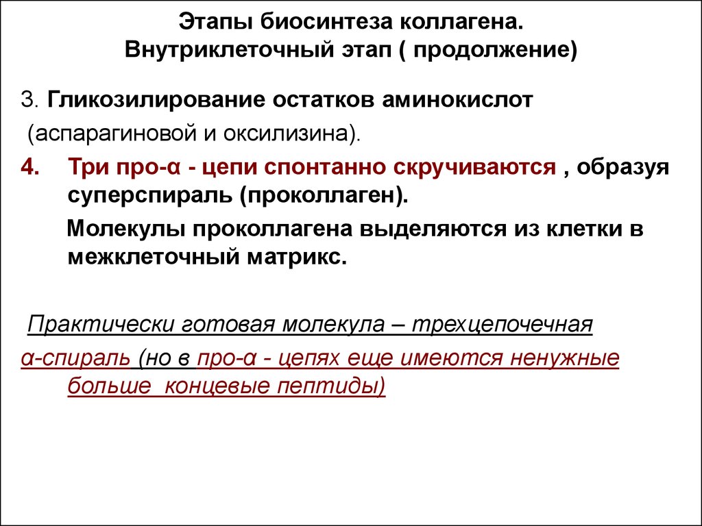 Периоду синтеза. Синтез и созревание коллагена. Внутриклеточный этап синтеза коллагена. 2 Этап синтеза коллагена. Этапы биосинтеза коллагена.