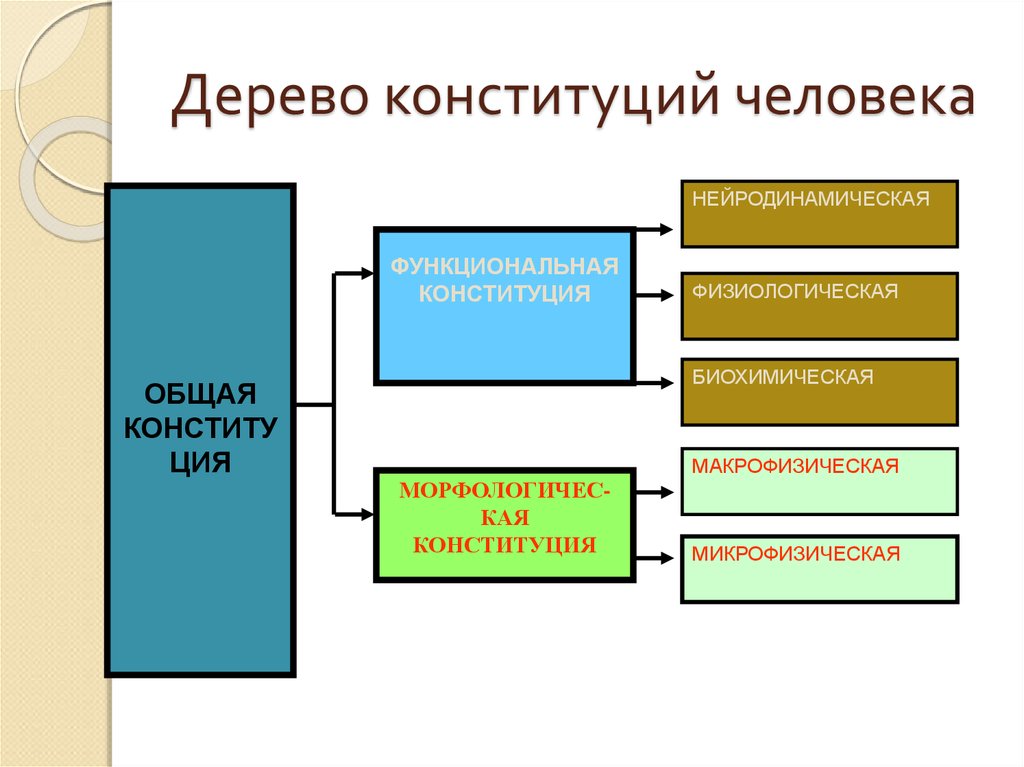 Конституция личность