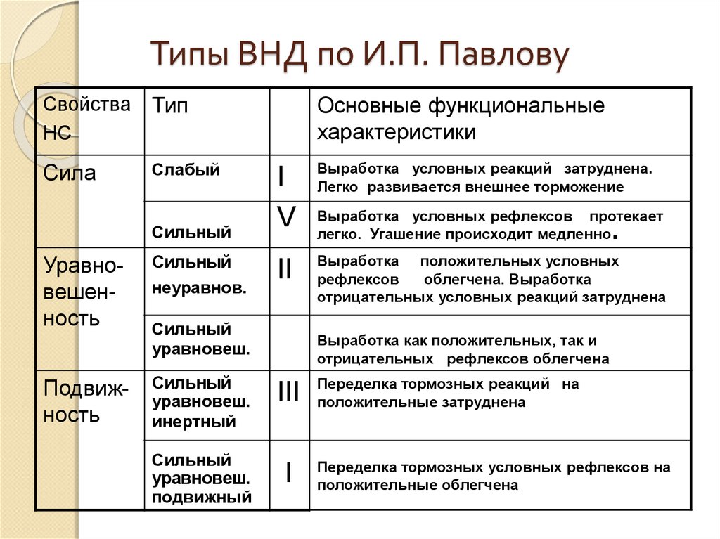 Типы высшей нервной деятельности. Классификация ВНД по Павлову. Типы высшей нервной деятельности по Павлову. Таблица характеристика типов высшей нервной деятельности человека. Классификация типов ВНД по Павлову физиология.